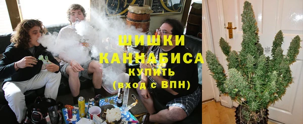 эйфоретик Вяземский